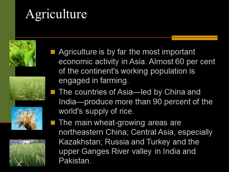 Agriculture   Agriculture is by far the most important economic activity in Asia.